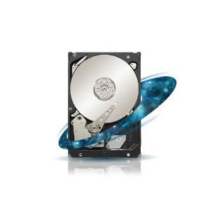 1.0Tb Seagate Constellation ES ST31000424SS SAS 6.0 Gb/s 7200rpm 16Mb