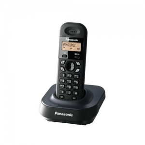 Panasonic KX-TG1401RUH (черный)