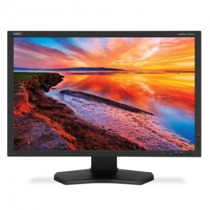 NEC PA241W  24" / 1920x1200 (IPS) / 8ms / D-SUB + 2*DVI-D + DP / USB / HAS + PIVOT / Silver-White