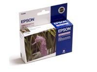 Epson C13T048640 Light Magenta R300/R200/RX500/RX600