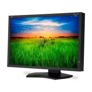 NEC PA301W  30" / 2560 x 1600 (P-IPS) / 6ms / 2 x DVI-D + DP / HAS + PIVOT / Black