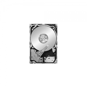 1.0Tb Seagate Constellation.2  / ST91000640NS / SATA 6Gb/s / 7200rpm, 64MB