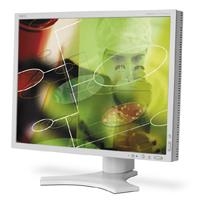 NEC 2090UXi  20" / 1600x1200 (S-IPS A-TW Pol ) / 8ms / D-SUb + DVI-D + DVI-I / Silver-White