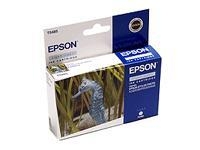 Epson C13T048540 Light Cyan R300/R200/RX500/RX600